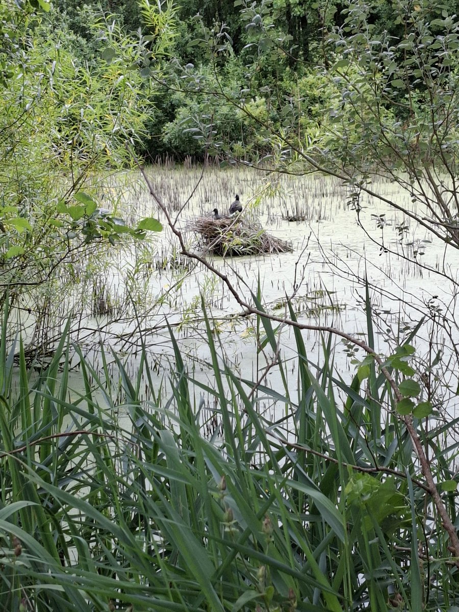 Rachel Jenkinson tweet media