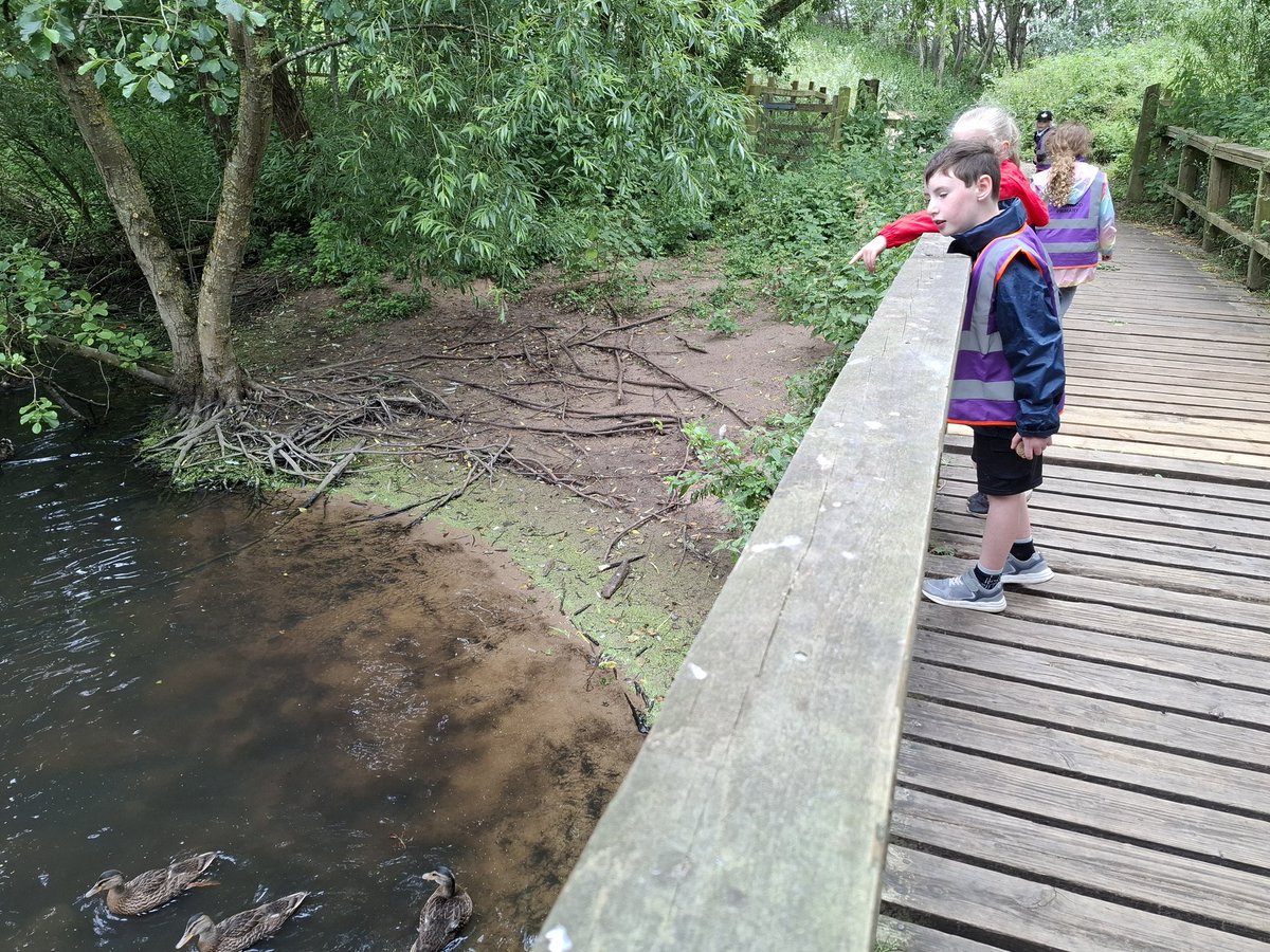 Rachel Jenkinson tweet media