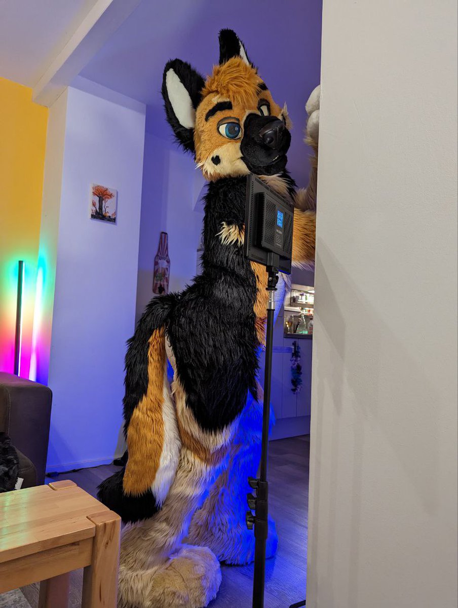 ❤️🐾H.M.S. ひまる 🐾❤️ 🔜 NFC-Furciety 👀 tweet media