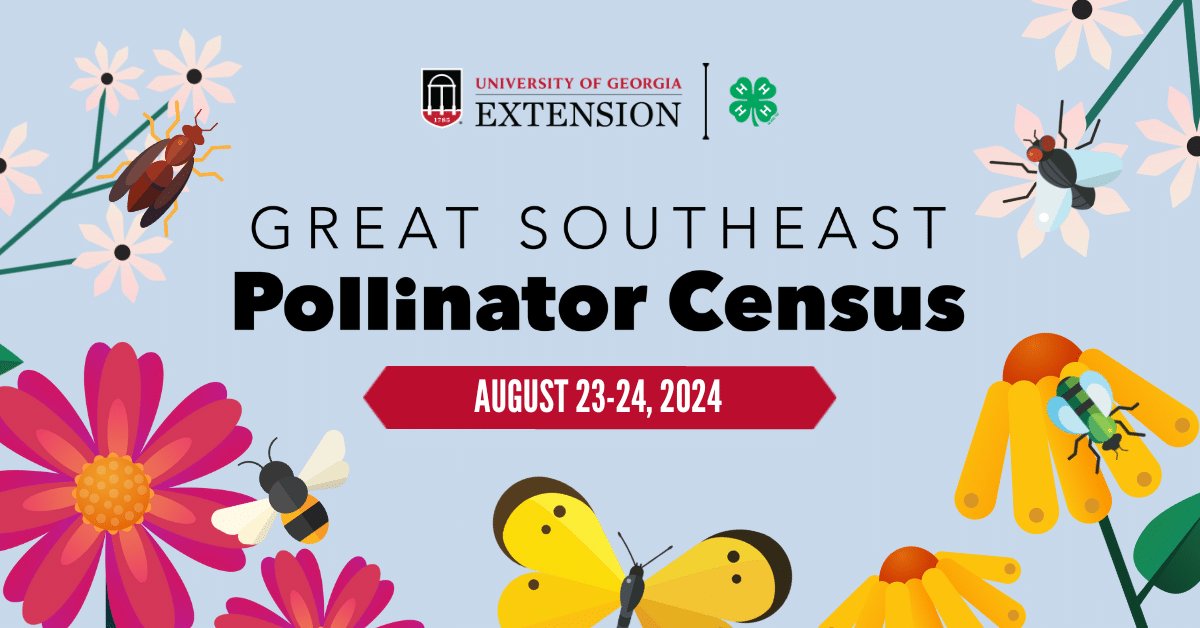 Agriculture is America (@agisamerica) on Twitter photo The <a href="/UGAExtension/">UGA Extension</a> Great Southeast Pollinator Census is a community science project designed for residents of Georgia, South Carolina, North Carolina, and Florida. 🐝
Learn how to participate: gsepc.org #PollinatorMonth The <a href="/UGAExtension/">UGA Extension</a> Great Southeast Pollinator Census is a community science project designed for residents of Georgia, South Carolina, North Carolina, and Florida. 🐝
Learn how to participate: gsepc.org #PollinatorMonth