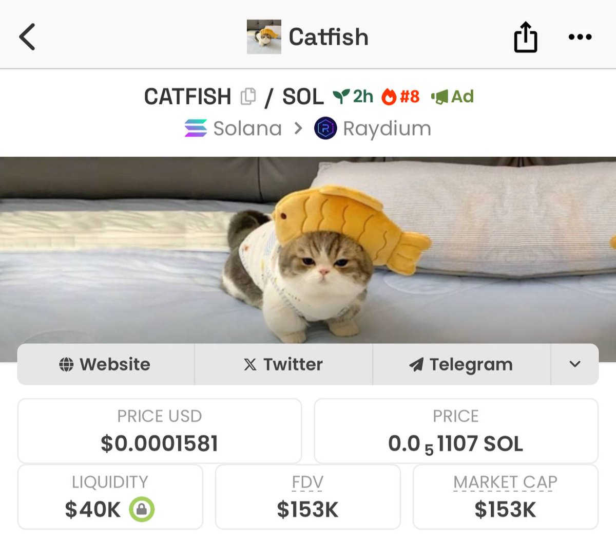 _catfish_sol_'s tweet photo. Guess who's about to get number #1 on #dex 👀

#solana #meme #raydium #100x https://t.co/rS1dAIRMSD