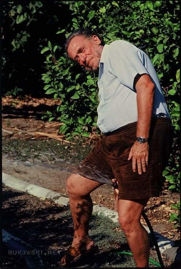 "No te abandones, quédate con una pequeña chispa, y no se la des jamás a nadie.
Mientras la tengas, podrás volver a encender el fuego".

— Charles Bukowski