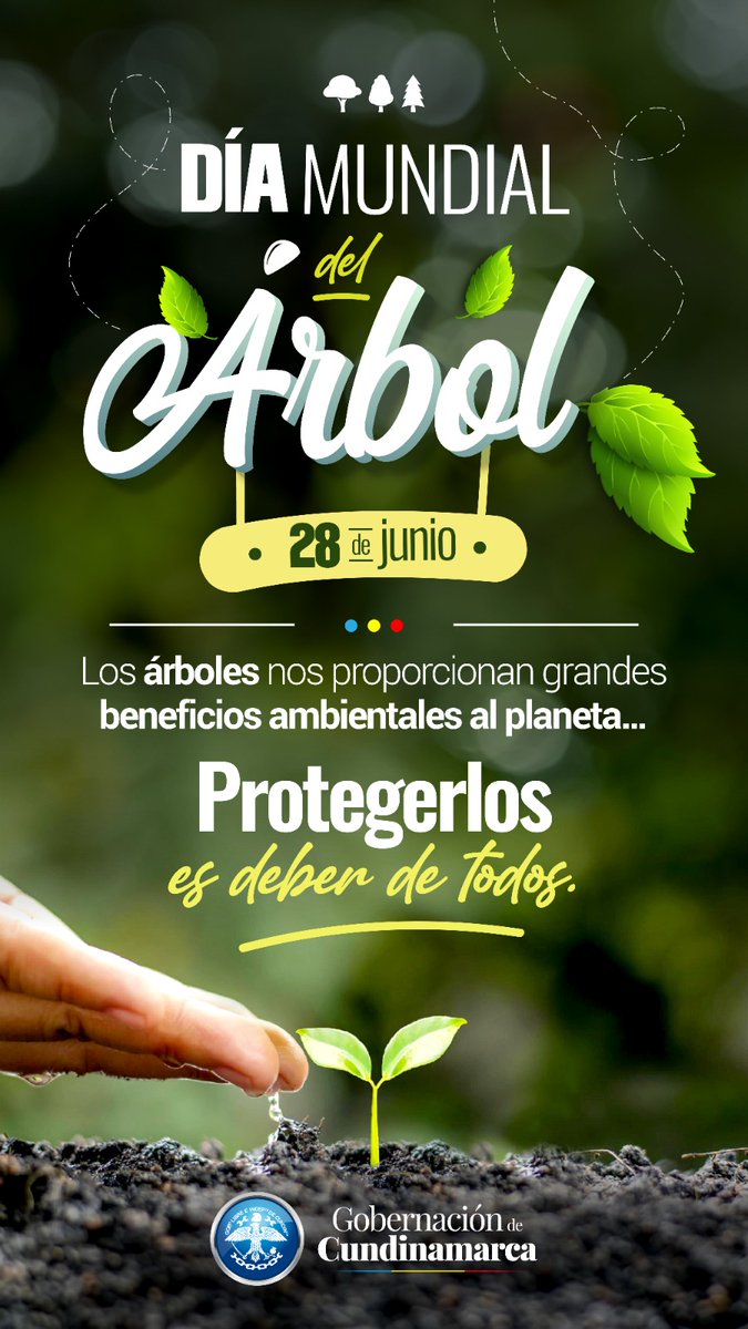 SBVerdeCund's tweet photo. 🗣️Los árboles tienen múltiples funciones con las que participan en el ciclo de la naturaleza, que van desde generar oxígeno hasta ser aliados contra la crisis climática, ya que son la base de la supervivencia de los seres vivos que habitan en la Tierra.🌎🌳 #BienestarVerde. https://t.co/tcyexs8wYE
