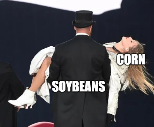 Kendra Dauer tweet media