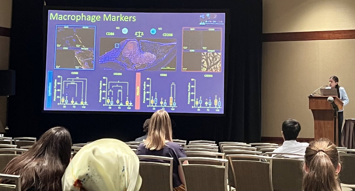 Great job <a href="/Gab_CGonzales/">Gabriela C. Gonzales</a> presenting our latest work with drug eluting endotracheal tubes at #Termis2024 - saved our best for the last day #ProudPI  Stay tuned for the manuscript soon!!