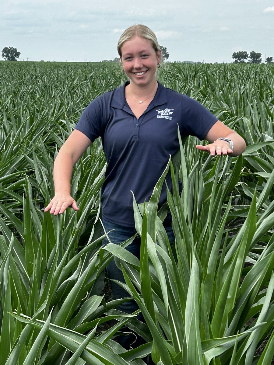 rvcinterns's tweet image. Seeing more of a height difference in one of our test plots between short and tall corn! 
-CK
@Asgrow_DEKALB @Bayer4CropsUS #preceon #shortcorn #agisawesome