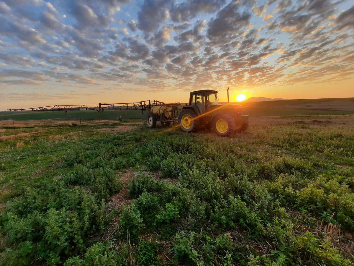 FarmerSaf's tweet photo. Cant beat this office with a view. A South African sunset at its best🌾🇿🇦💚 https://t.co/Vu5PElEQ5z
