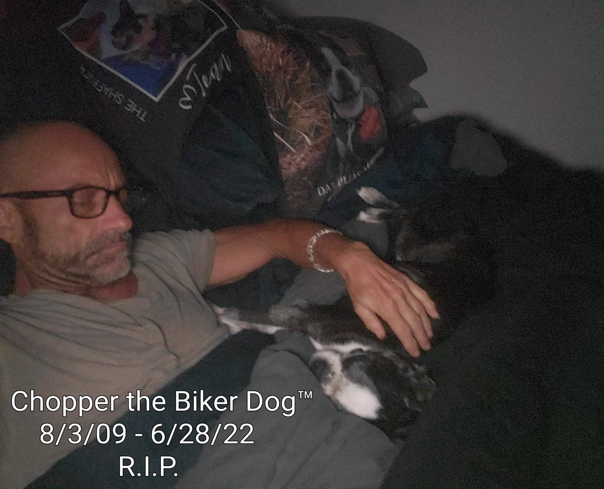 2 years ago 2day, I awoke at 4 am 2 find my best buddy Chopper laying across my lap, in peace &amp; free of all pain and what ailed him #Cushings #Anemia #LiverCancer #Pancreatitis #VestibularDisease 

Rest in Peace little buddy #NeverForgotten 
News video clips on Chopper's FB page