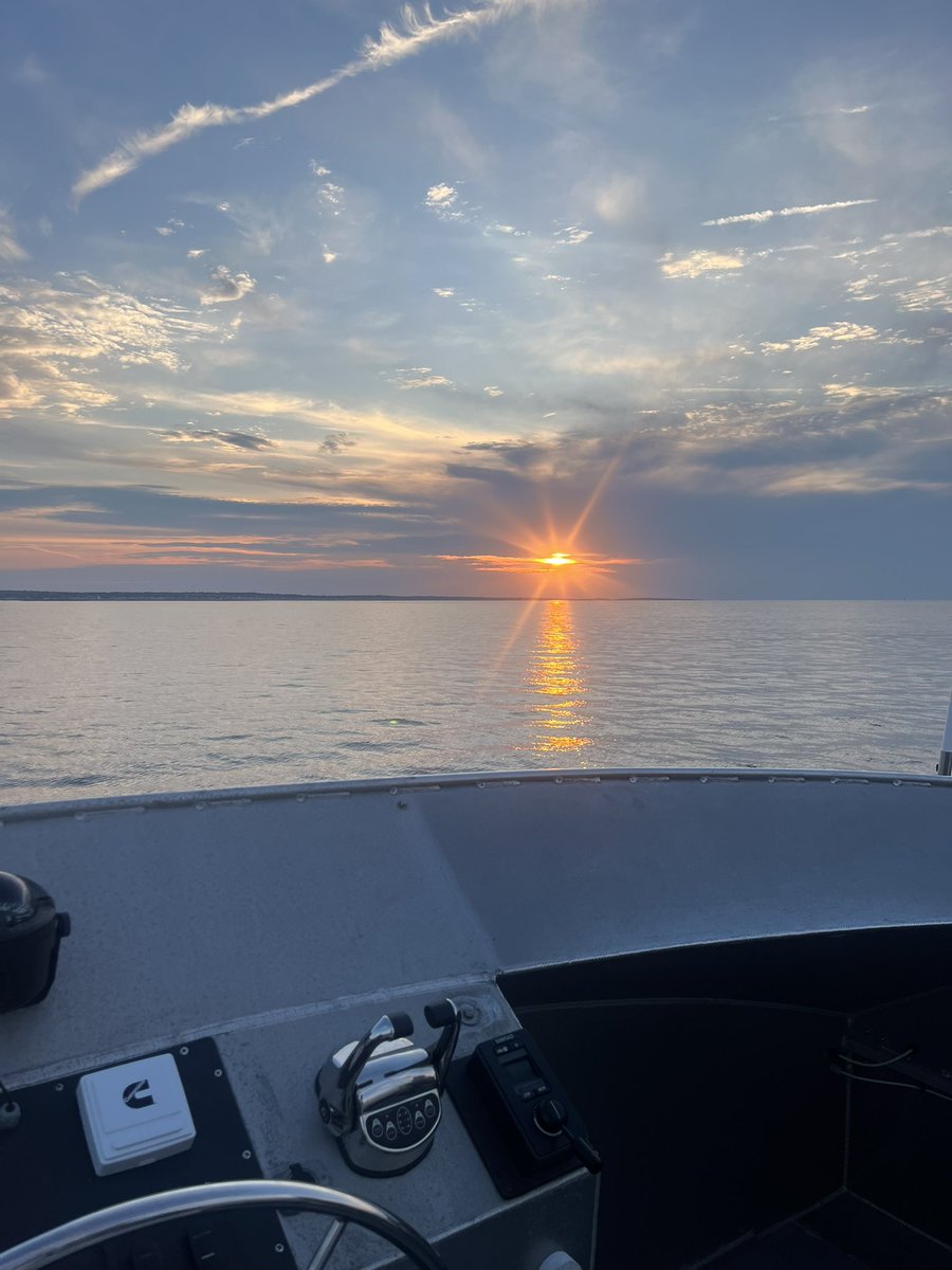 Track Seabirds (@trackseabirds) on Twitter photo It’s been awhile but we’re back in action again! The #trackseabirds team deployed 11 satellite tags on great shearwaters this week! Follow the birds’ journeys here!
<a href="/NOAASBNMS/">NOAA Stellwagen Bank NMS</a> <a href="/marinesanctuary/">National Marine Sanctuary Foundation</a> It’s been awhile but we’re back in action again! The #trackseabirds team deployed 11 satellite tags on great shearwaters this week! Follow the birds’ journeys here!
<a href="/NOAASBNMS/">NOAA Stellwagen Bank NMS</a> <a href="/marinesanctuary/">National Marine Sanctuary Foundation</a>