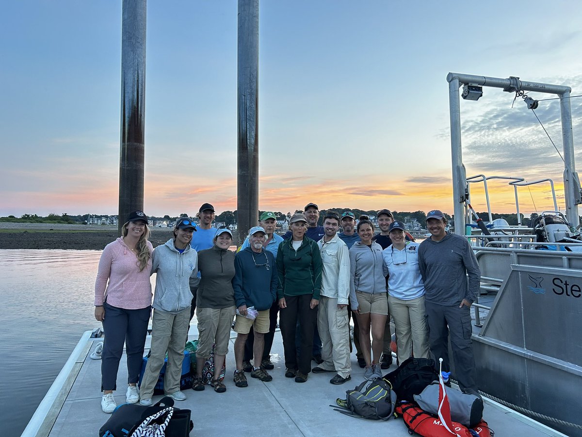 Track Seabirds tweet media