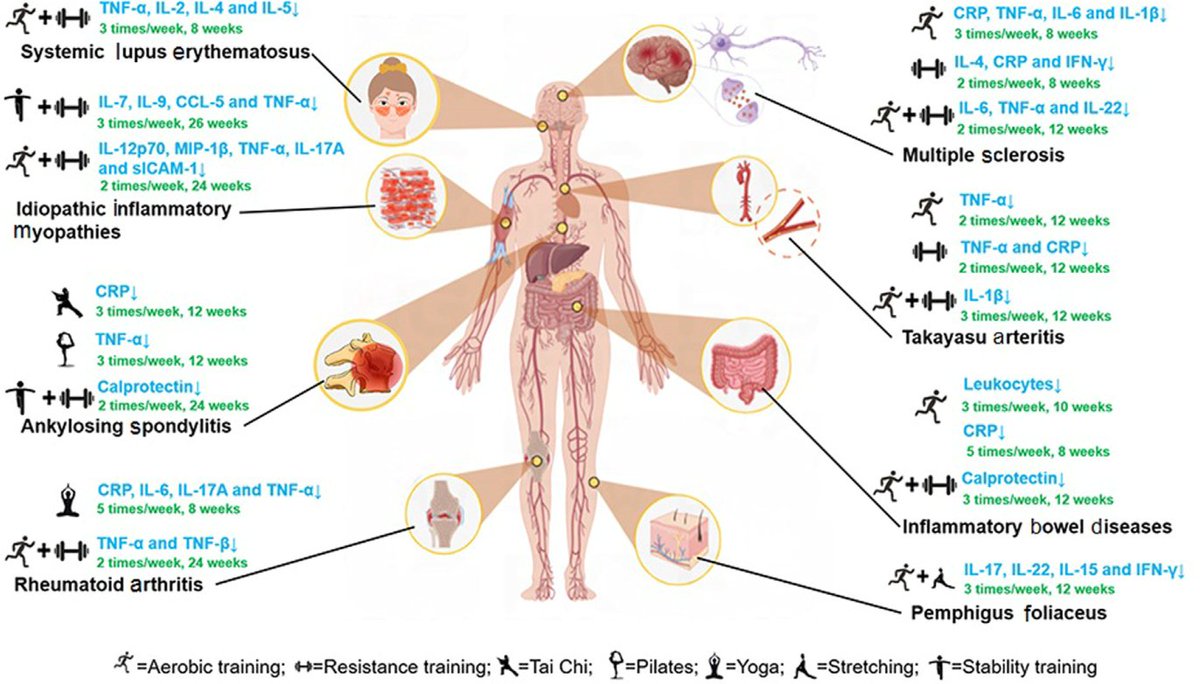 The anti-inﬂammatory effects of exercise on autoimmune diseases:  A 20-year systematic review

  pubmed.ncbi.nlm.nih.gov/38341137/
