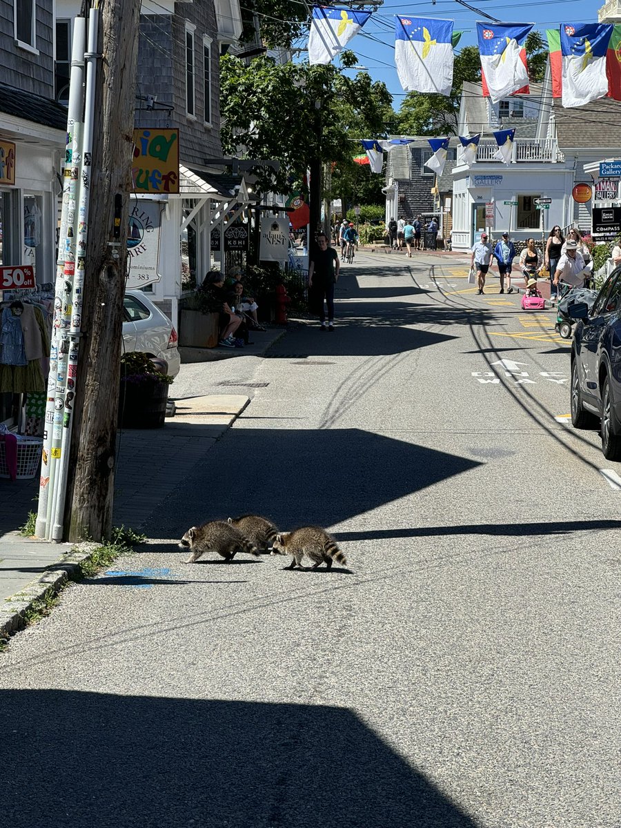 the girlies leaving the afters