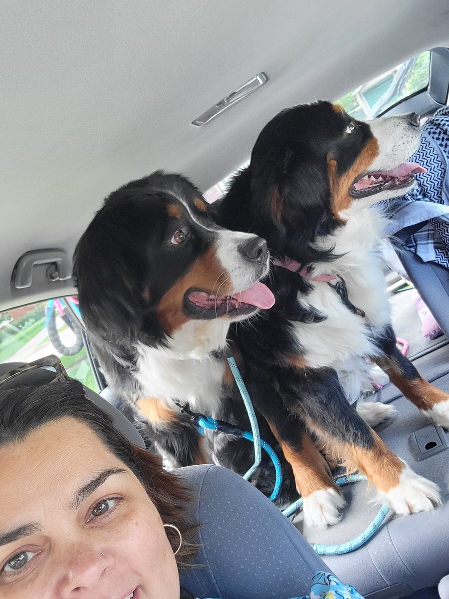 Rollin with my homies