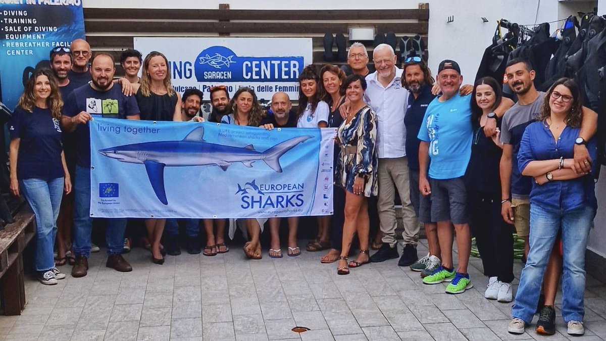 LifeEUsharks's tweet photo. Sharing #sharklove to #divers is a bit like preaching to the converted 😂 But #Sicily is surrounded by #ISRAs - @IUCNShark Important #shark&ray areas - and we are collecting info of new gathering sites and even of #minimakos!. Tks @DcSaracenPa_Vul https://t.co/TCDZ1R0XLU