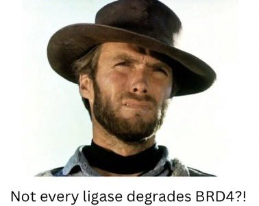 Danette Daniels tweet media