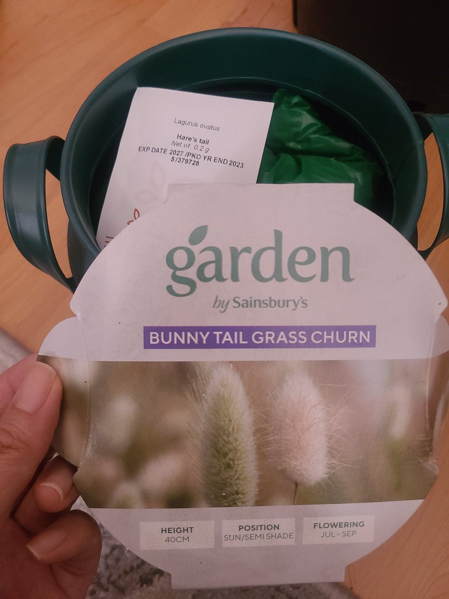 Bunny Tail Grass!