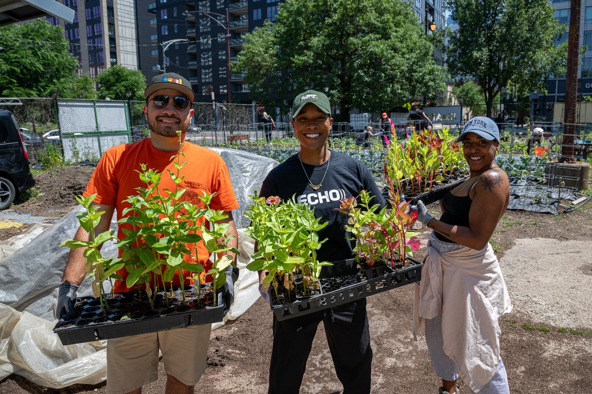 EchoLogistics's tweet photo. Echo's Urban Gardening Event was a huge success. Our team volunteered to plant at a community garden, and it was a day of teamwork, #sustainability, and giving back.
Check out the event and see how we're fostering green spaces in #Chicago: https://t.co/8cSzqkqhDX
#LifeAtEcho https://t.co/ceFgKhPOz6