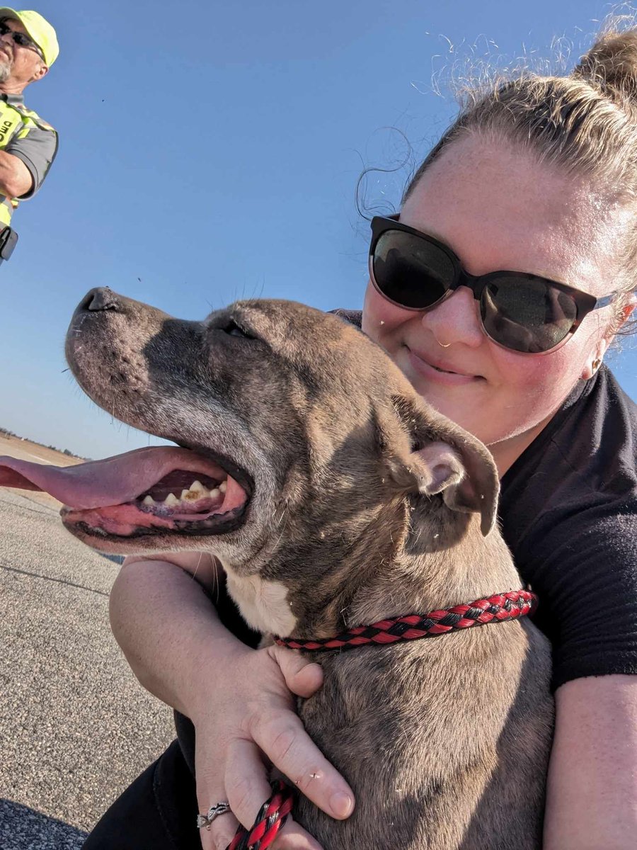 PilotsNPaws's tweet photo. Senior dog Oden stood patiently on the tarmac, intrigued by the flying machine before him. Thank you Pilot Kerry &amp; friend Wayne for flying Oden from GA to Plenty of Pitbulls Rescue in FL. All dogs, no matter their age, deserve love.❤️#pilotsnpaws #freedomflight #dogrescue https://t.co/aZlG7biHPt