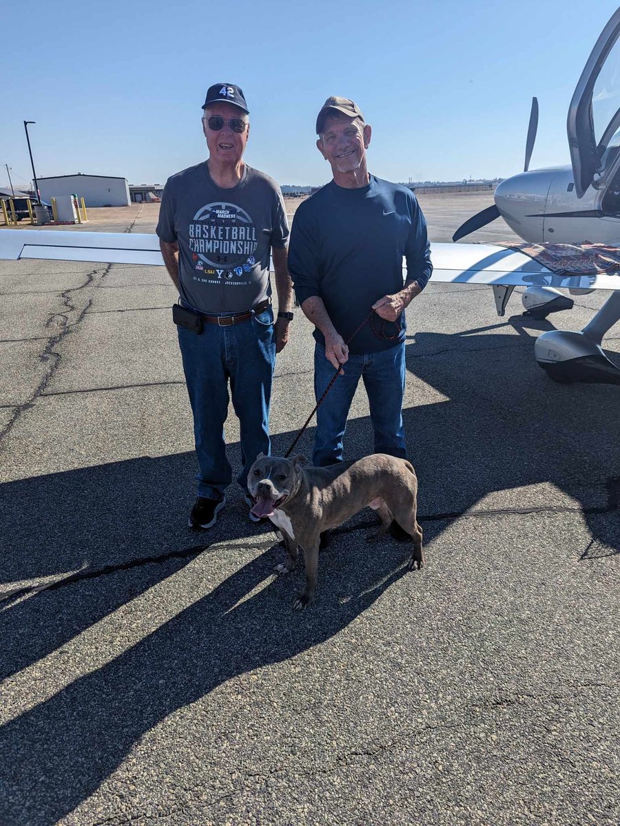 PilotsNPaws's tweet photo. Senior dog Oden stood patiently on the tarmac, intrigued by the flying machine before him. Thank you Pilot Kerry &amp; friend Wayne for flying Oden from GA to Plenty of Pitbulls Rescue in FL. All dogs, no matter their age, deserve love.❤️#pilotsnpaws #freedomflight #dogrescue https://t.co/aZlG7biHPt