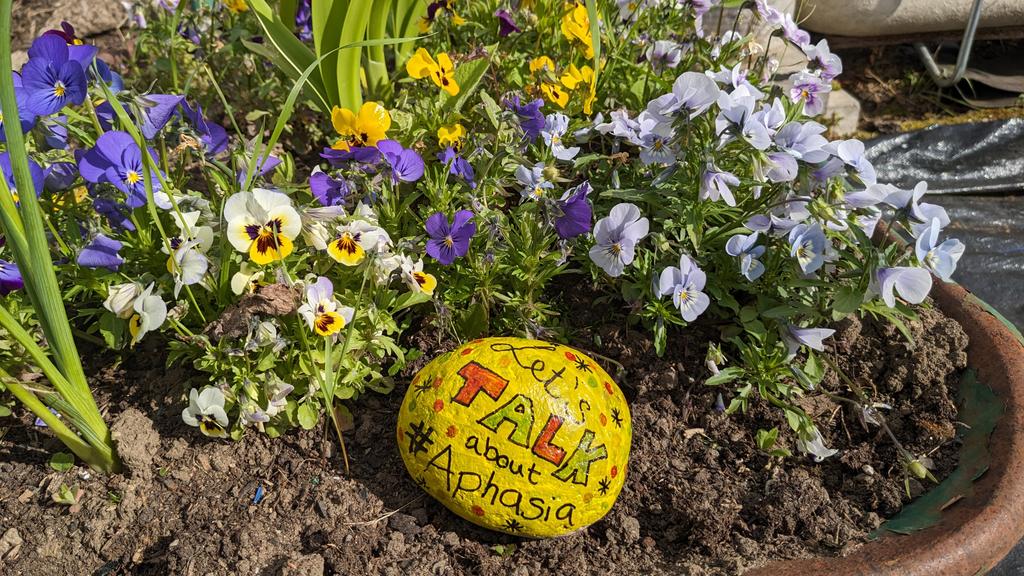 Caitlin Longman (@caitlongman) on Twitter photo I keep on forgetting to take a picture of my rock for #RockingAphasia. It looks very bright & sunny at my local allotment in Glasgow. Huge shout out to the amazing <a href="/RockingAphasia/">Rocking Aphasia</a> team this year who have done such a fantastic job. Let's continue talking about aphasia all year. I keep on forgetting to take a picture of my rock for #RockingAphasia. It looks very bright & sunny at my local allotment in Glasgow. Huge shout out to the amazing <a href="/RockingAphasia/">Rocking Aphasia</a> team this year who have done such a fantastic job. Let's continue talking about aphasia all year.