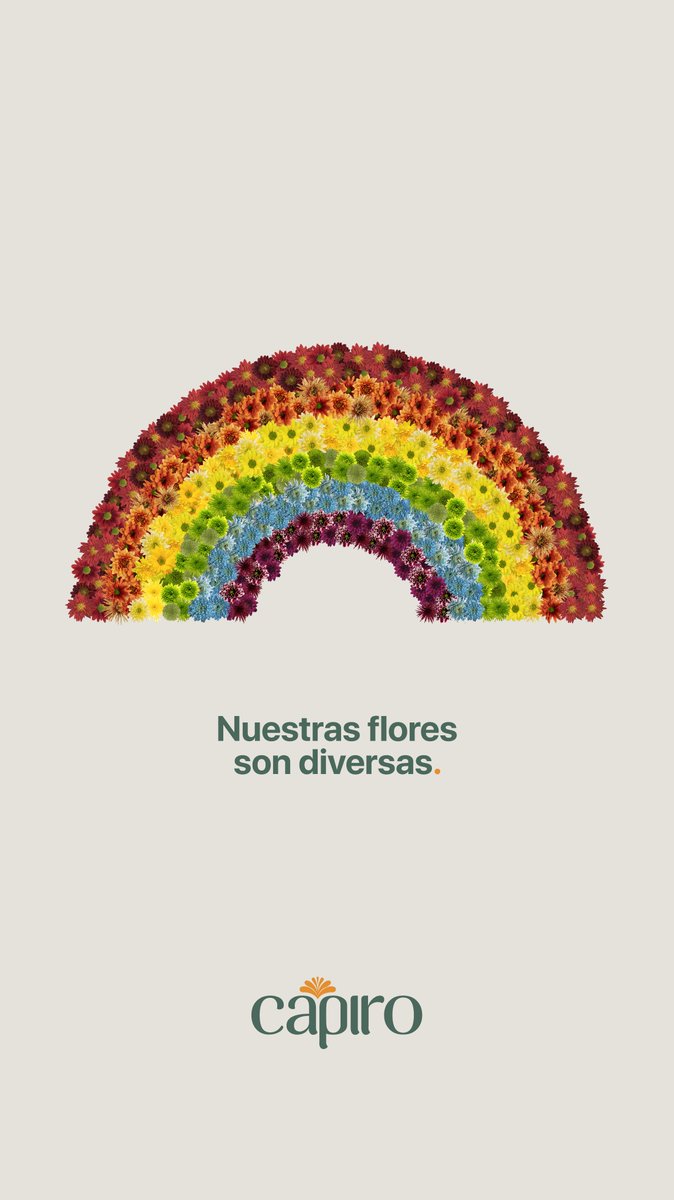 FLORES EL CAPIRO S.A tweet media
