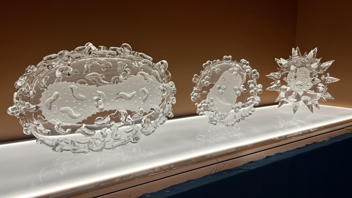 Installing Glass Microbiology ‘Past Present &amp; Future’ (Smallpox, HIV &amp; UntitledFutureMutation) <a href="/royalsociety/">The Royal Society</a> London,  for their Summer Exhibition 3-7th July, helping to represent the fine work of <a href="/TheCrick/">The Francis Crick Institute</a> Institute. royalsociety.org/science-events…