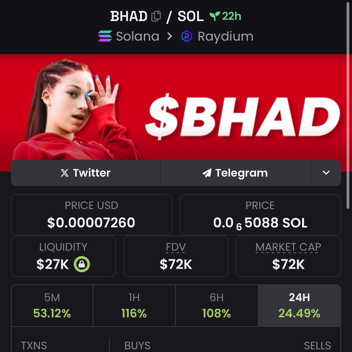 BHAD ON SOL (@BHAD_CTO) / Posts / X