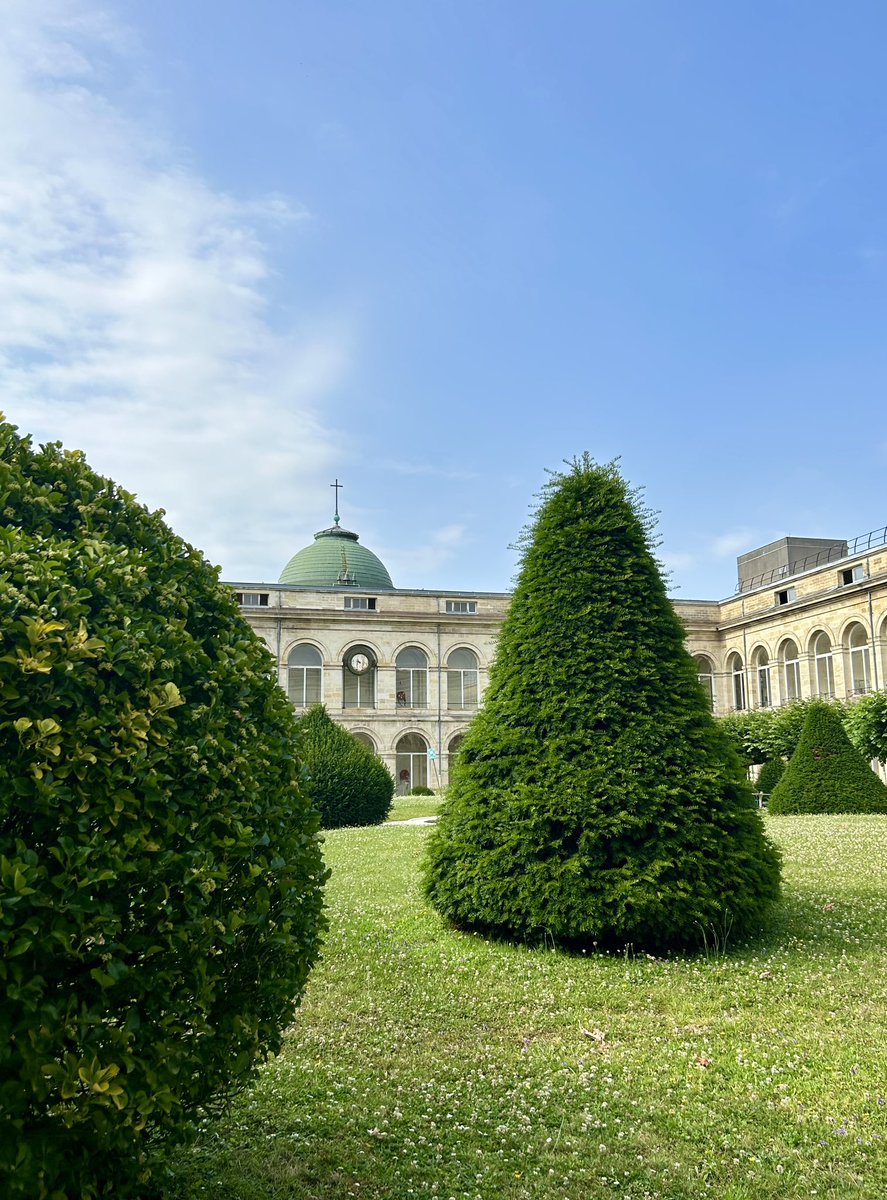 Yann Bubien tweet media