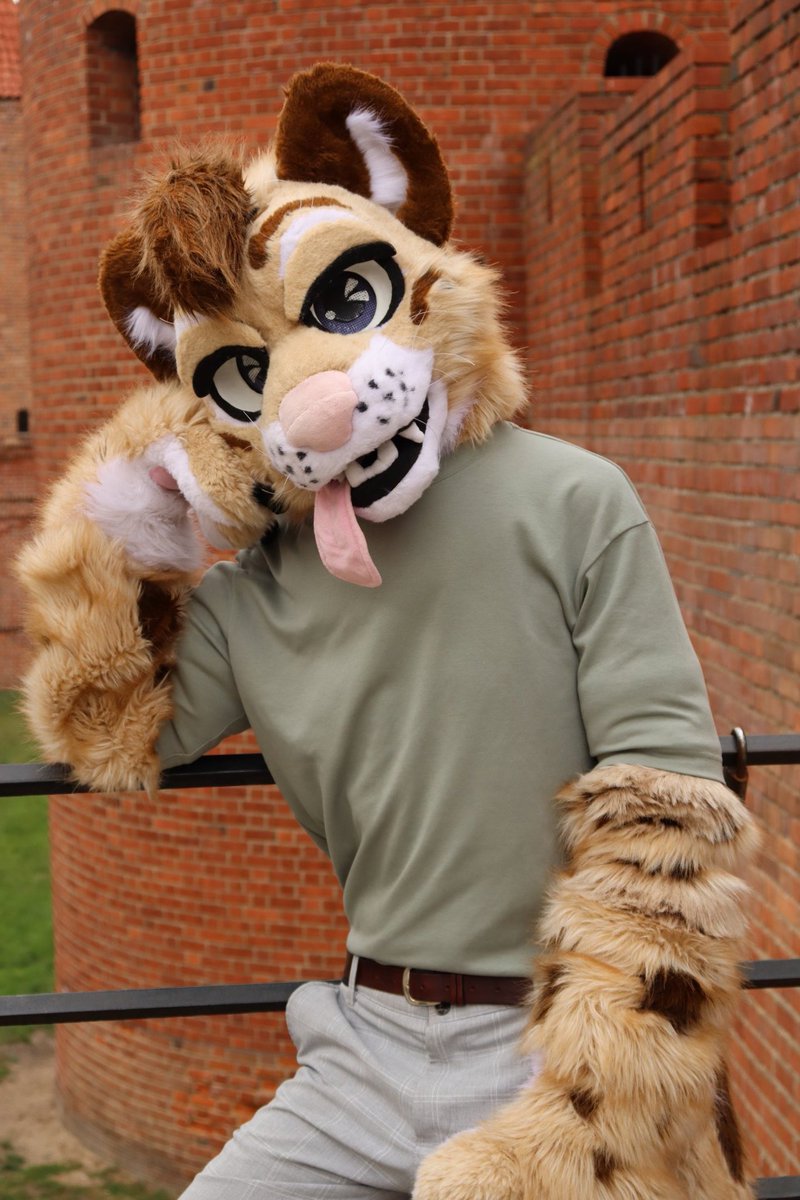 Let's go for a walk!

📸: CUBE

#FursuitFriday