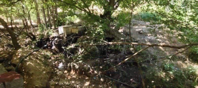 Scharo Bajalan tweet media