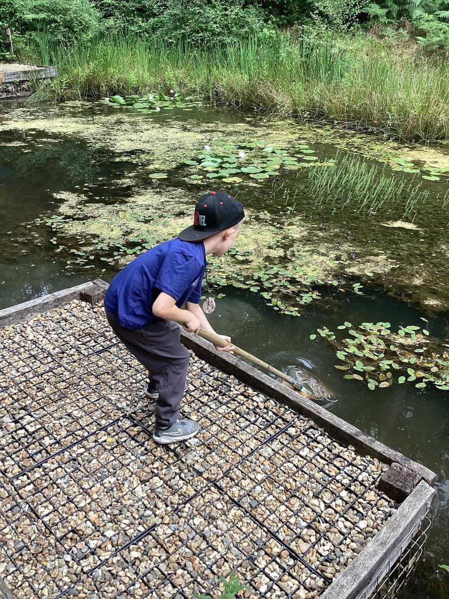 OaktreeThe's tweet photo. Some of our Year 1 children attended The Surrey Wildlife Trust nature reserve Nower Wood, today for wilder school adventures, along with some fellow Year 3 children from @TheHermitage school. They had fun toasting marshmallows, pond dipping and making wooden necklaces. 🐝🐞🦇🌳🦡 https://t.co/iDUq9xi2ZP
