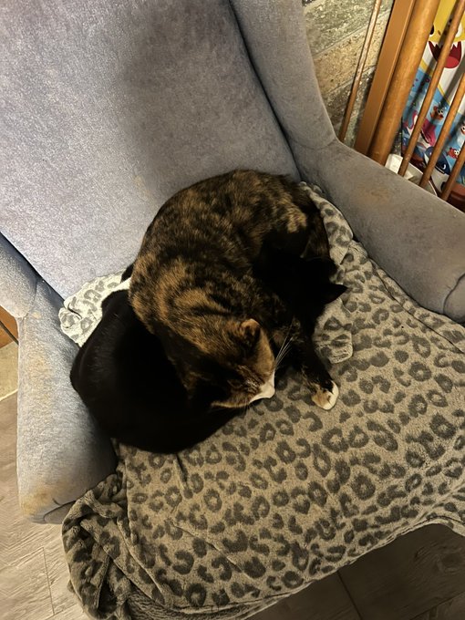 Ok guys reimburse opportunity!  I had to rush my cat to the vet this morning she&rsquo;s currently still there