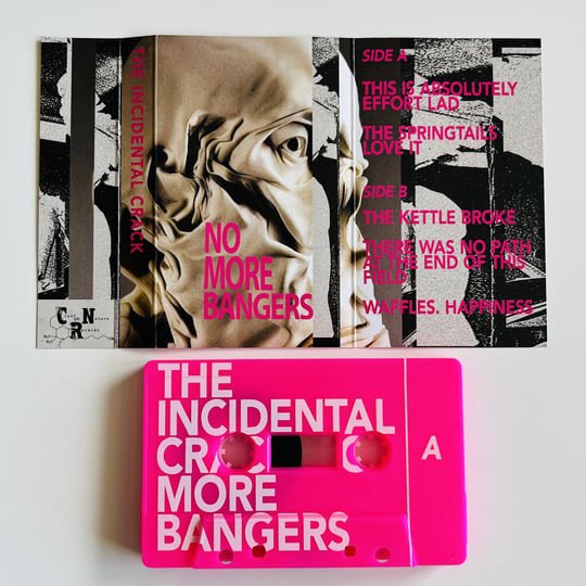 The Incidental Crack tweet media