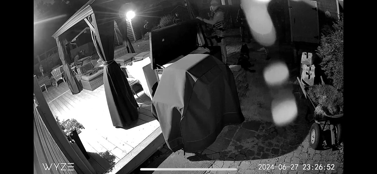 LoKoRuns's tweet photo. Struggling to understand why 5 @HfxRegPolice and a k9 were in our backyard last night, going through our stuff and appear to have broken one of our shed doors without any explanation. They left our gate unlatched and shed door wide open (because they broke it). https://t.co/RpzNNX76aj