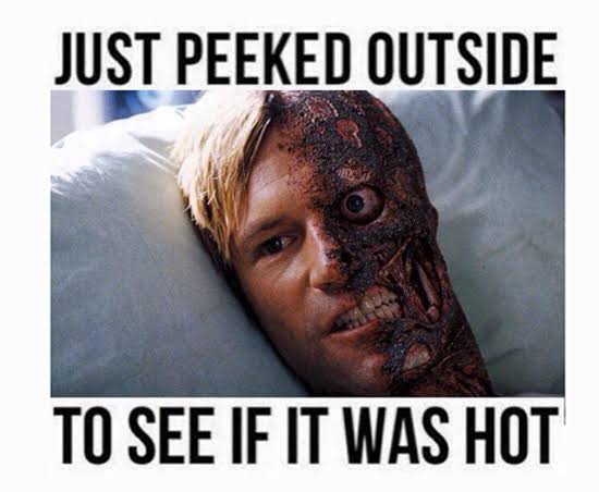 Jacquelyne tweet media