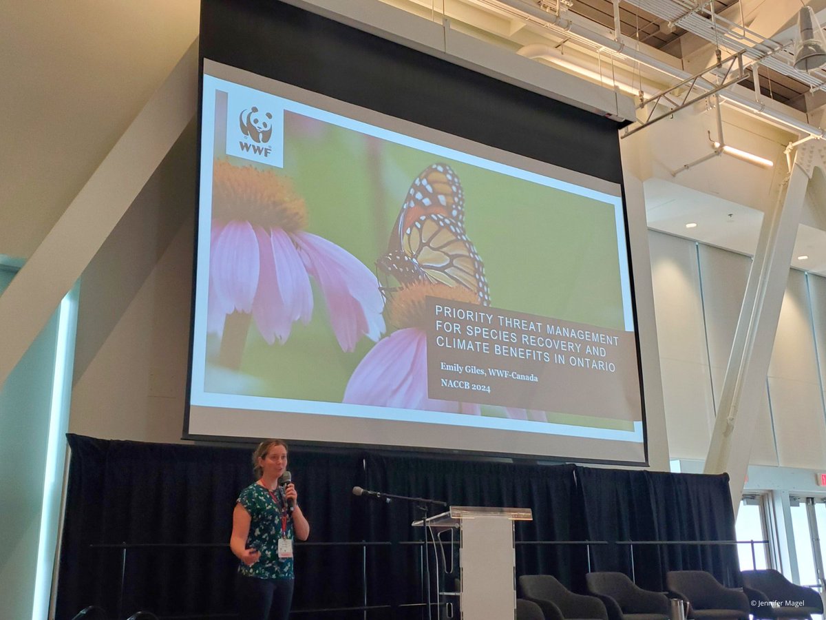 "Wildlife in Ontario are in trouble. If we continue under the status quo, 98% of species in our study will be functionally extinct by 2050. If we invest in priority actions like habitat restoration &amp; protection, we can help to reverse that trend." — <a href="/WildlifeEmily/">Emily Giles</a> #NACCB2024