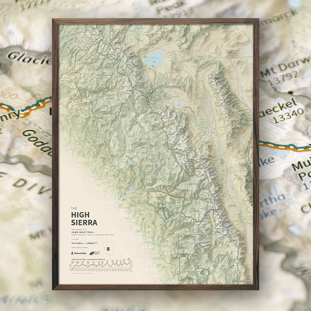 Chaney Swiney tweet media