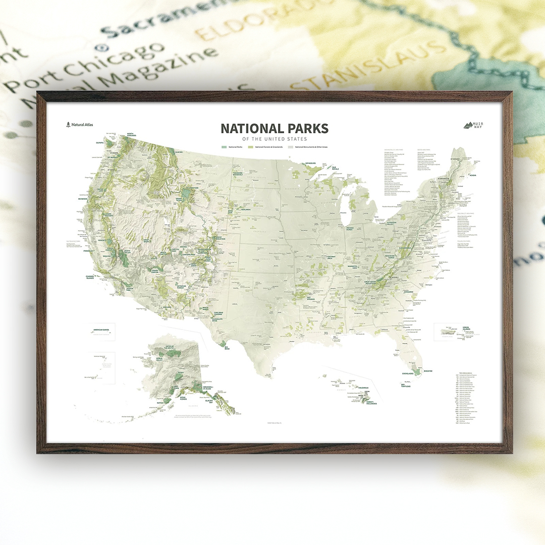 Chaney Swiney tweet media