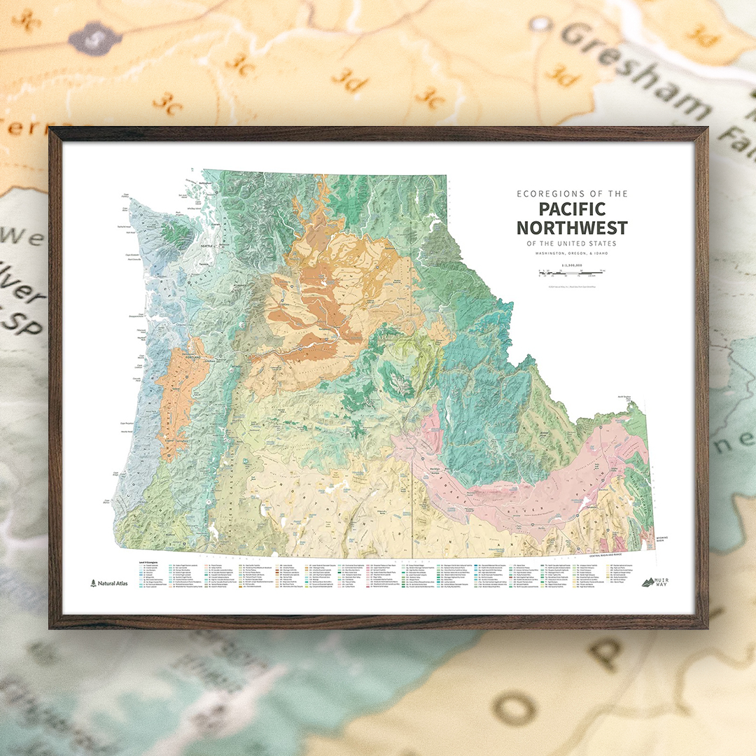 Chaney Swiney tweet media