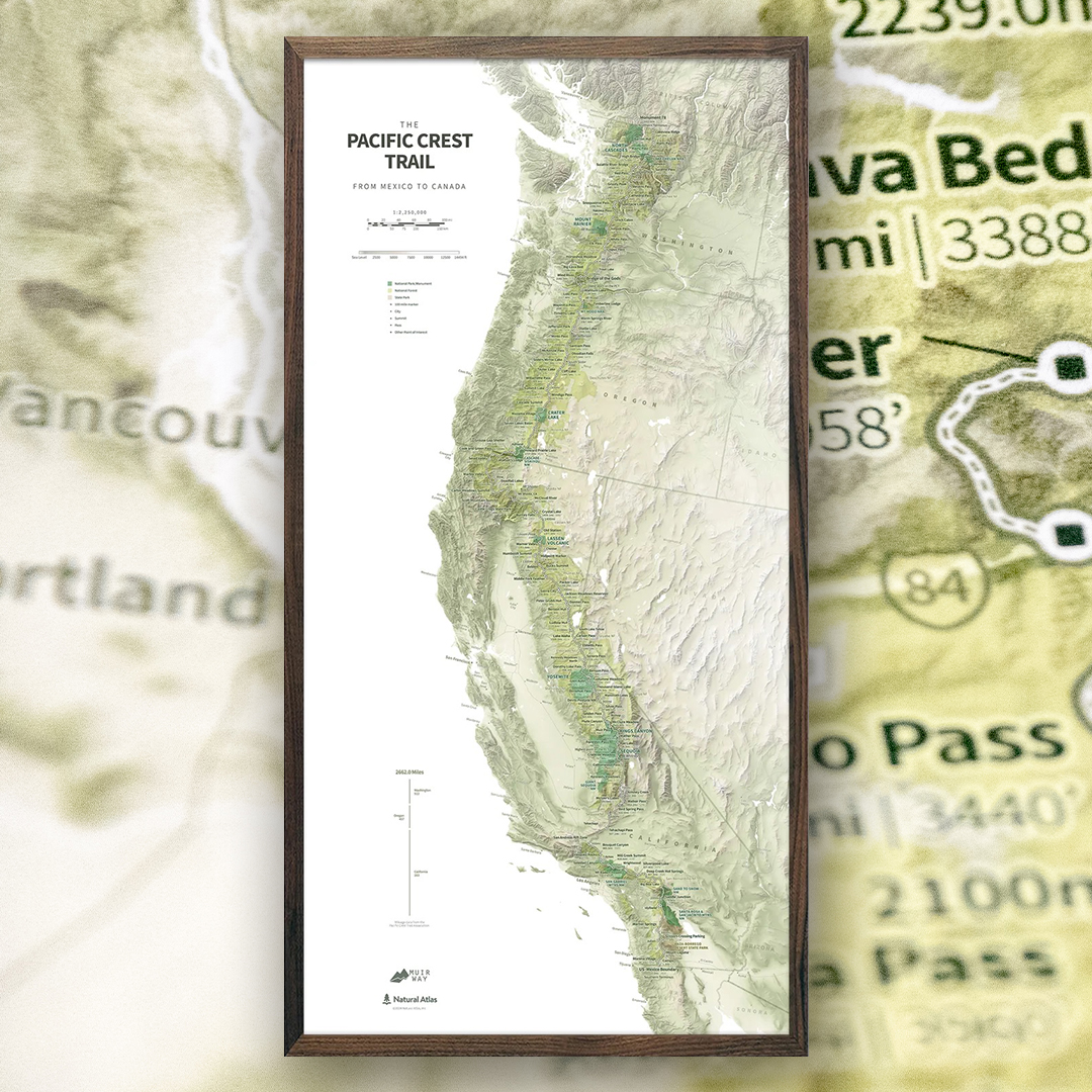 Chaney Swiney tweet media