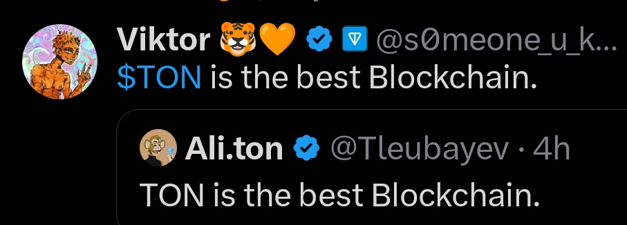 $TON is the best Blockchain.