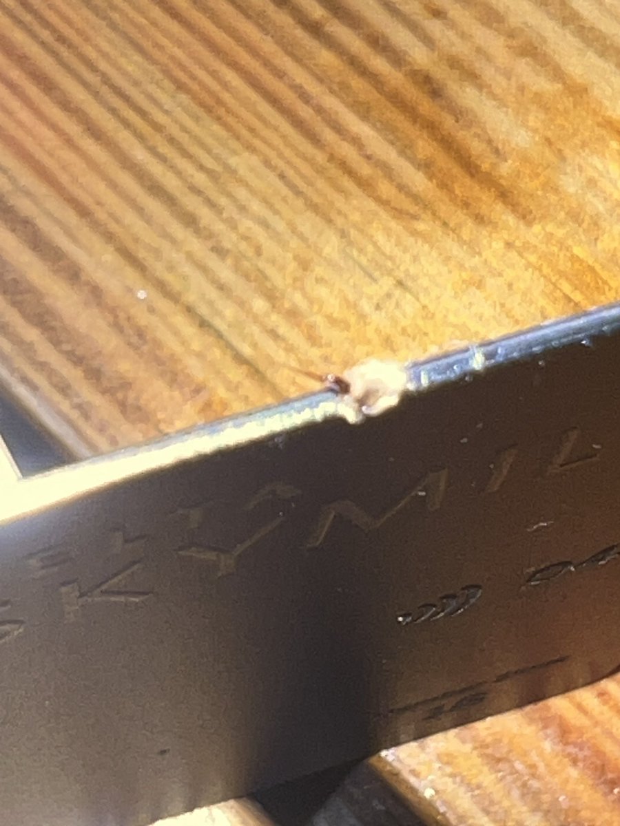 My <a href="/Delta/">Delta</a> #skymiles card coming through in the clutch after my daughter got stung by a giant Caribbean murder bee during dinner….💪 🐝 🏝️ 

#stinger #delta