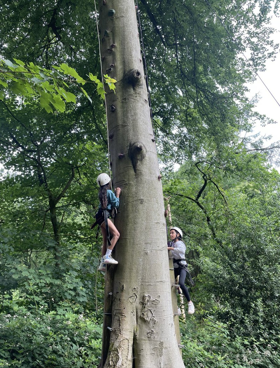 Fun tree 🧗 climbing <a href="/HumboAcademy/">Humberstone  Academy</a> <a href="/HJAMrHughes/">Mr Hughes</a>