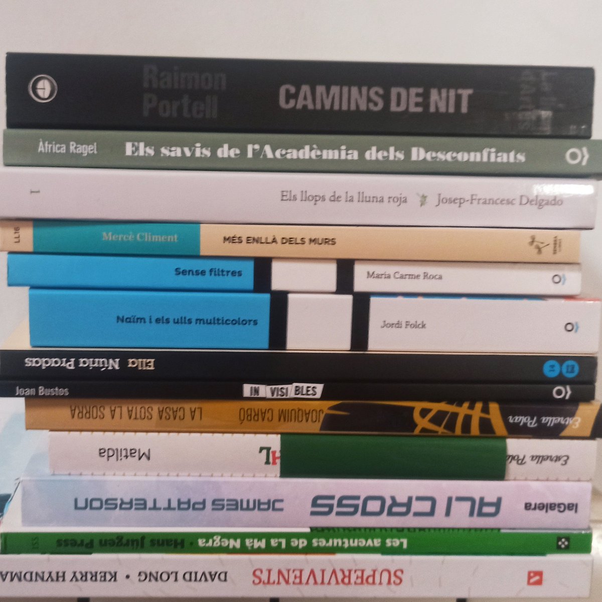3ad1lesa's tweet photo. M'he endut uns quants llibres de l'@InsDB25anys dels que ens regalen les editorials i dels que aquest any ens ha regalat @omnium per llegir-me'ls durant l'estiu. 🎉📚🌊☀ https://t.co/N0rMDMFB0A