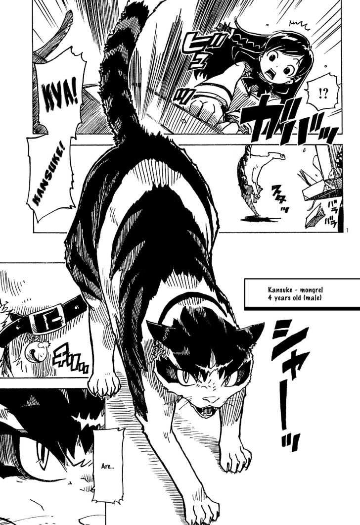 metastatiic's tweet photo. REDDIT FOUND IT!! ITS CALLED GAKUEN SOUSEI NEKOTEN! https://t.co/UEHufX8ZP4