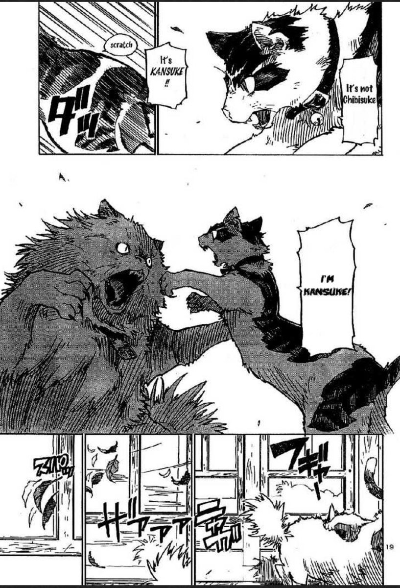 metastatiic's tweet photo. REDDIT FOUND IT!! ITS CALLED GAKUEN SOUSEI NEKOTEN! https://t.co/UEHufX8ZP4