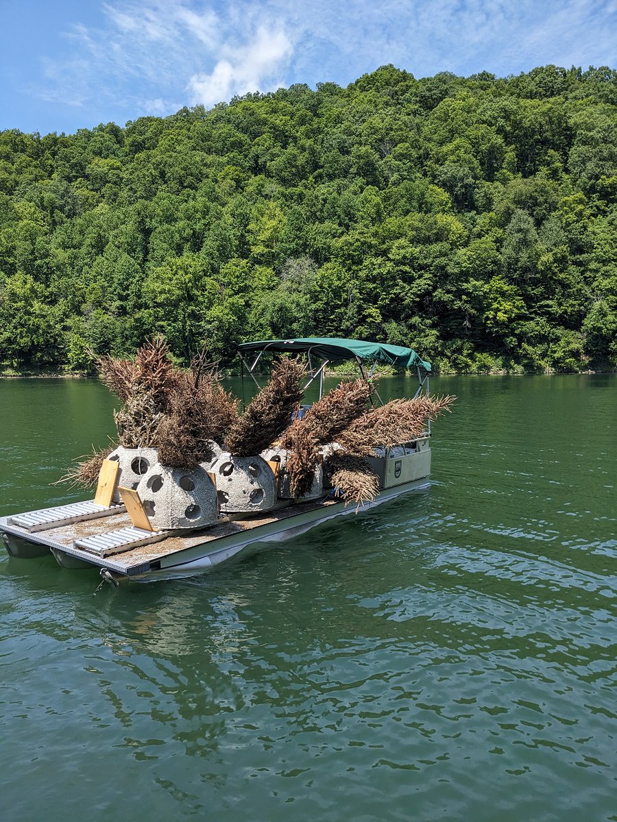 kyfisheriese's tweet photo. This week we deployed #Reefball structures purchased by the USACE in #Buckhorn Lake for fish habitat improvement. Agency partnerships like this are working hard to improve lake fisheries across the Commonwealth with long lasting renovations. https://t.co/WZ86Gij1ZR