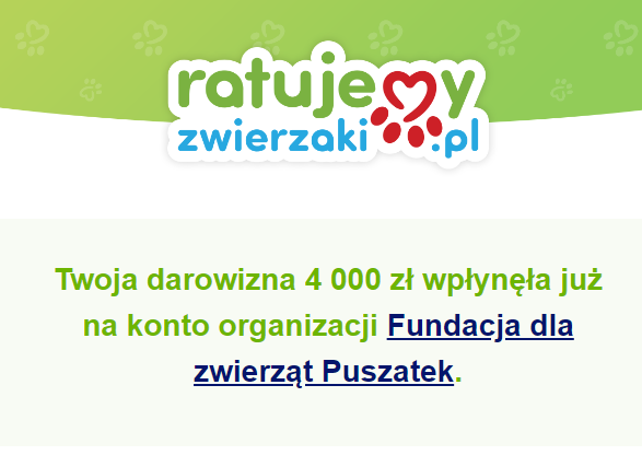 Maks Przychodzień tweet media