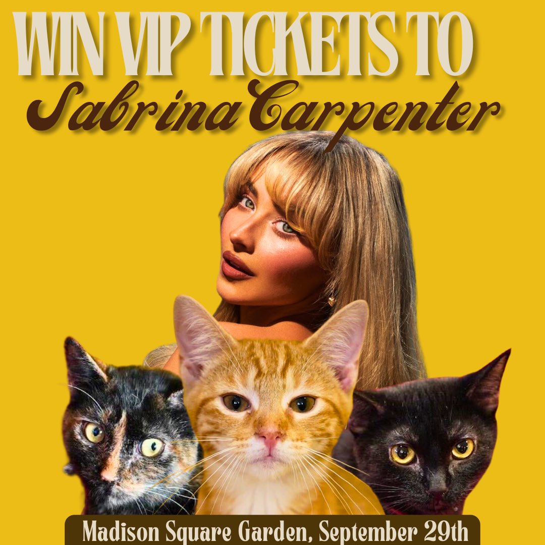 meowsquadnyc's tweet photo. 💗 Win Tickets to Sabrina Carpenter 💗

We are doing a raffle for 2 VIP tickets to Sabrina Carpenter at MSG on September 29th. All you have to do is click the link and support our kitties to enter 🥰 they beg you to please, please, please try your luck! 

https://t.co/6KYnxfAVx1 https://t.co/2OI5ei0X35