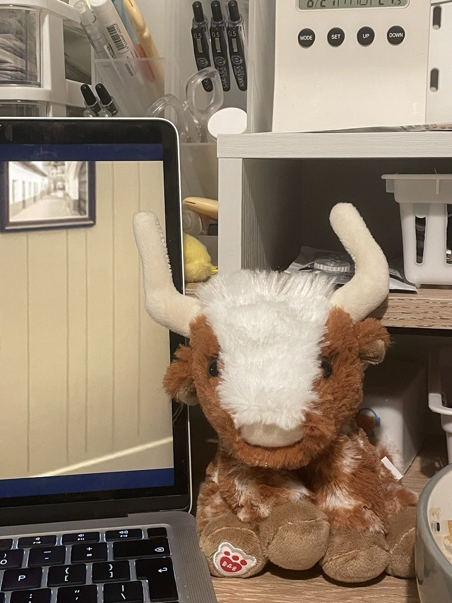 honeydiar_y's tweet image. — 28.06.24 

haven’t been up to much lately!! preparing myself to retake an exam mentally but i snagged myself a free diffuser and coincidentally its been the one i have been eyeing up for over a year so i am so happy 🥹🥹 

#studytwt #studylife #lifetwt #archivetwt